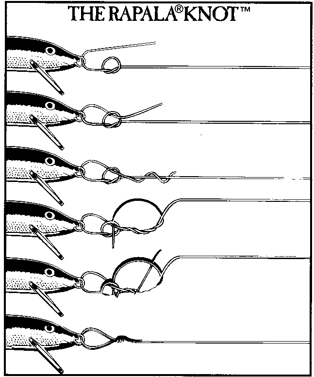 Gt Knot