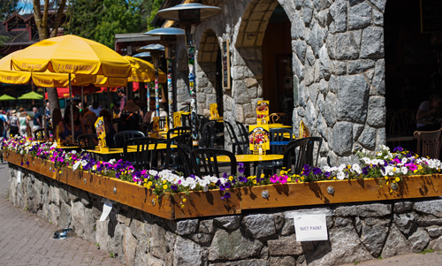 [Image: thanh-pho-day-hoa-cua-dat-nuoc-tuyet-dep...ada-17.jpg]