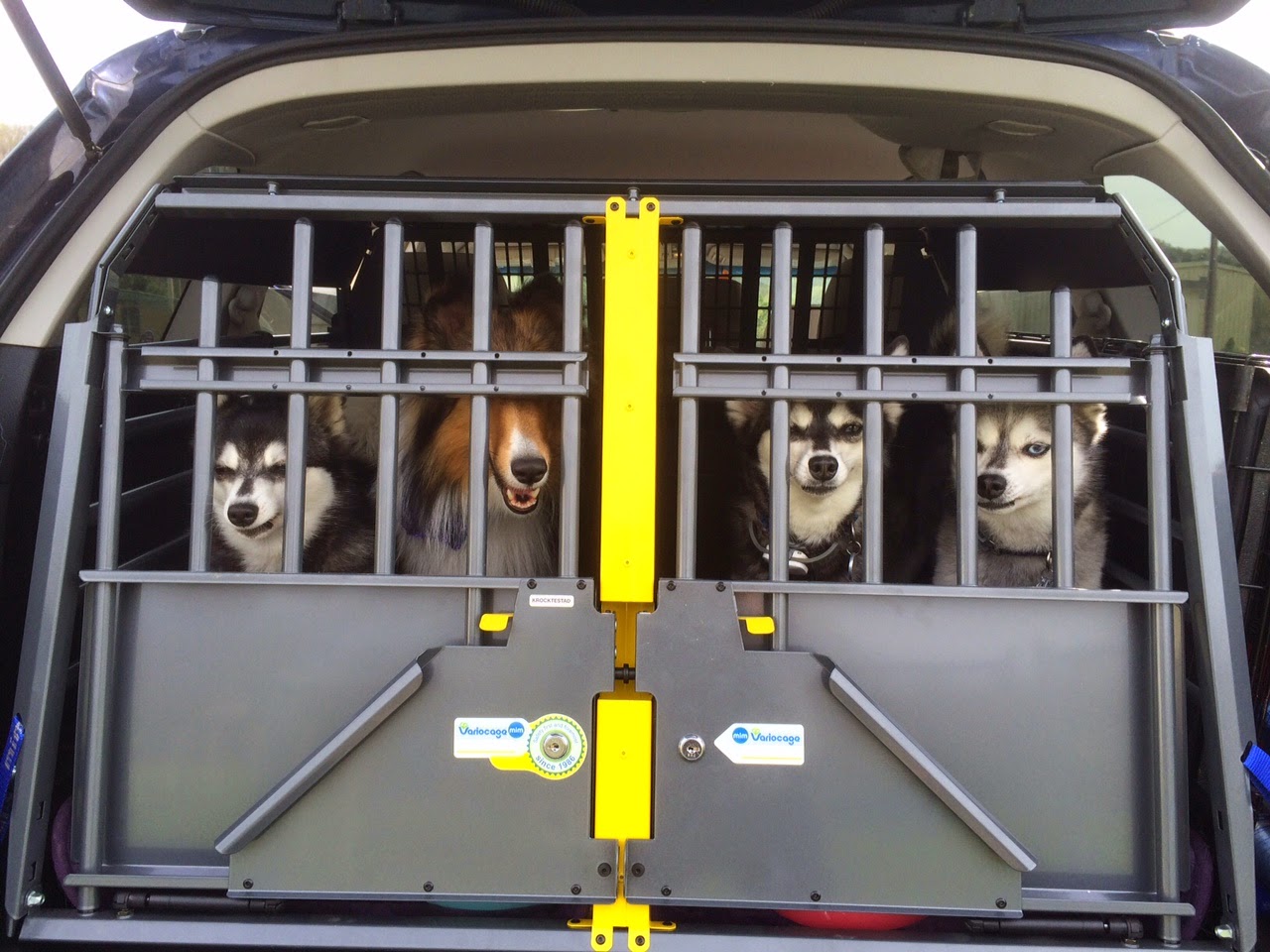 variocage double xxl