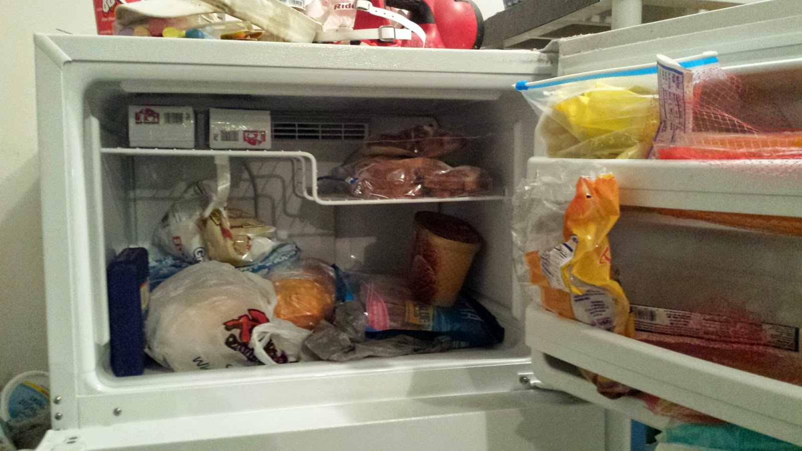 PREPARE TODAY What I'm Storing The Freezer Edition