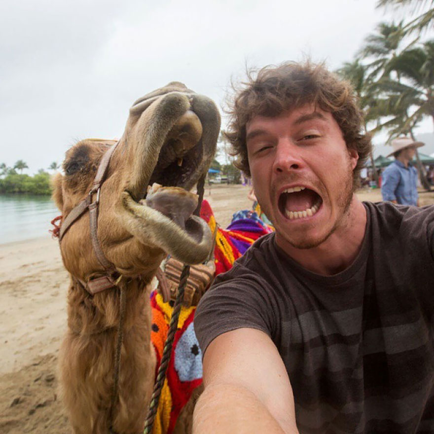 This Man Mastered The Art Of Animal Selfies! One With Parrot Is Priceless! This Man Mastered The Art Of Animal Selfies! One With Parrot Is Priceless!