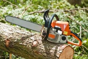 Stihl MS 280 Chainsaw Review - Should You Buy One?