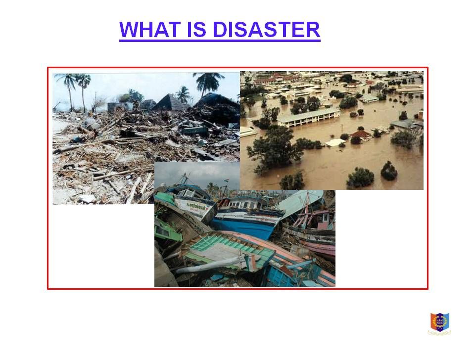 disater management Effective disaster management strategies in the 21st century developing the tools, processes and best practices to meet the demands of the increasing number of disasters. disater management Effective disaster management strategies in the 21st century developing the tools, processes and best practices to meet the demands of the increasing number of disasters.