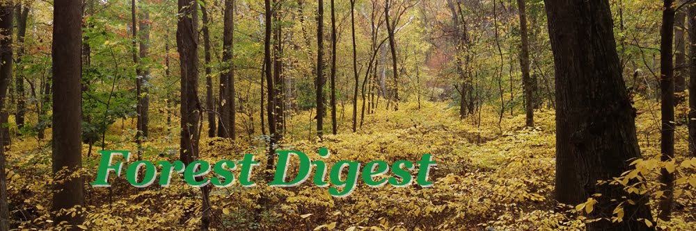 Forest Digest