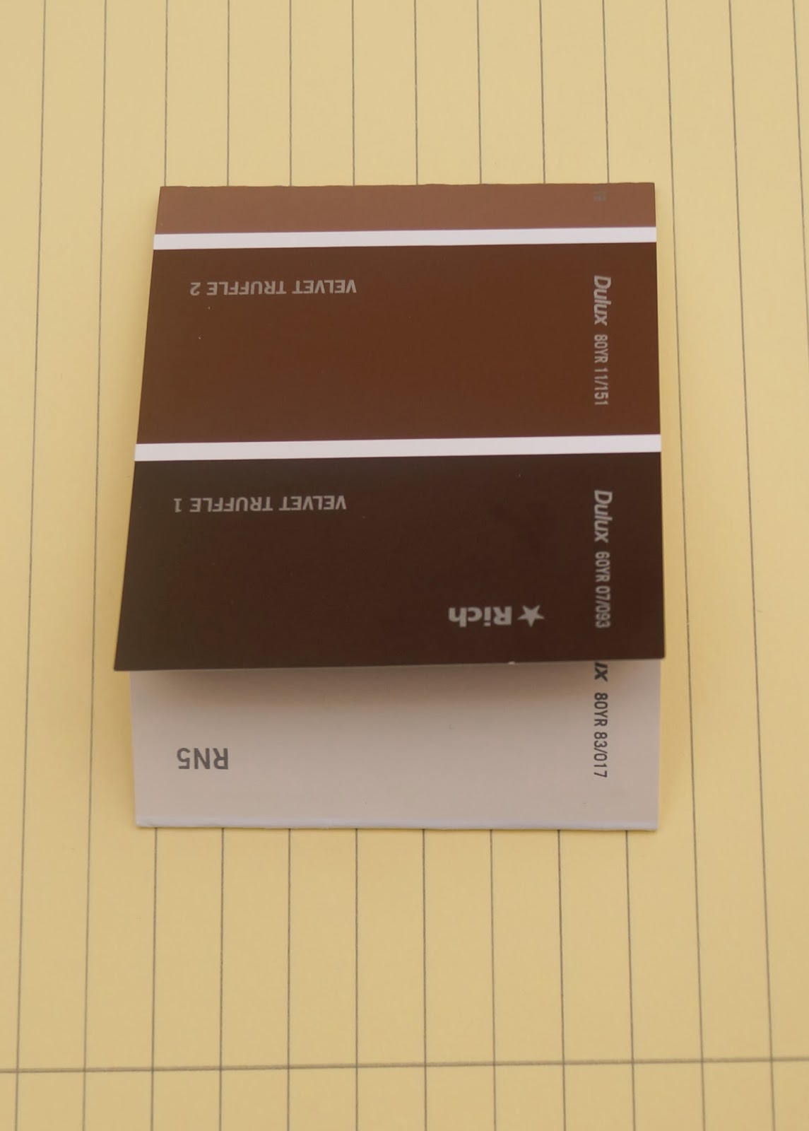 buttons and paint... and a Paint Swatch Mini Notebook