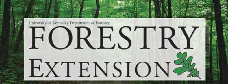 UK Forestry Extension