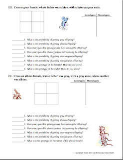 biology monohybrid cross worksheet answers