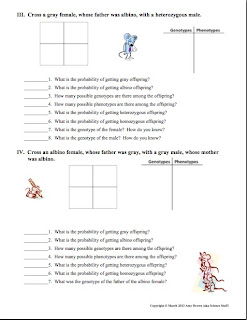 Printables Monohybrid Crosses Worksheet Answers monohybrid cross problems worksheet with answers cbru on genetics 270 x 350 mice caroldoey 24