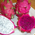 Khasiat dan Manfaat Buah Naga