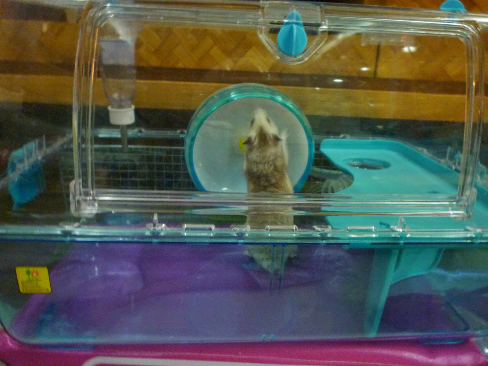 sanko hamster cage