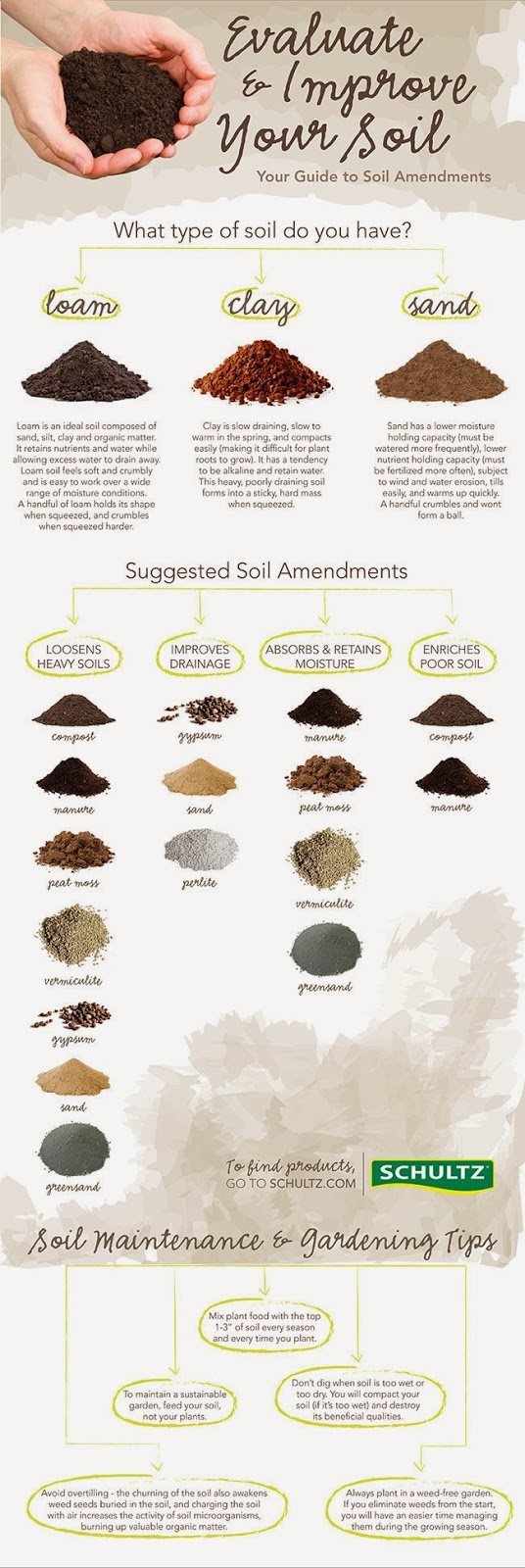 Start To Grow How to Evaluate and Improve Your Soil