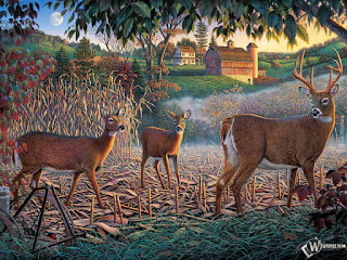 3d-deer-animal-wallpaper-in-java-phones
