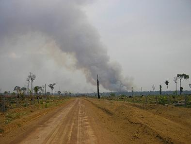 Fum de selva cremant enmig de pastures a l' Amazônia