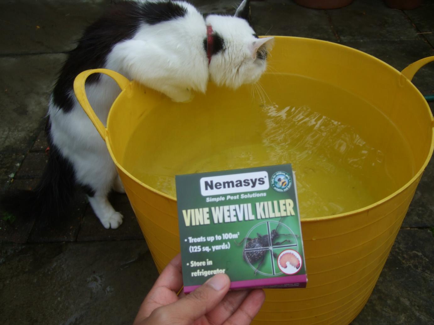Nemasys Vine Weevil Killer Large Instructions