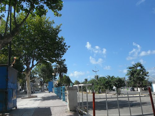 اروع صور جيجل على الاطلاق 75888124.jpg