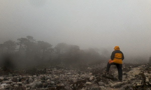 Mystic Himalayn River in trekking India Mystic Himalayn River in trekking India