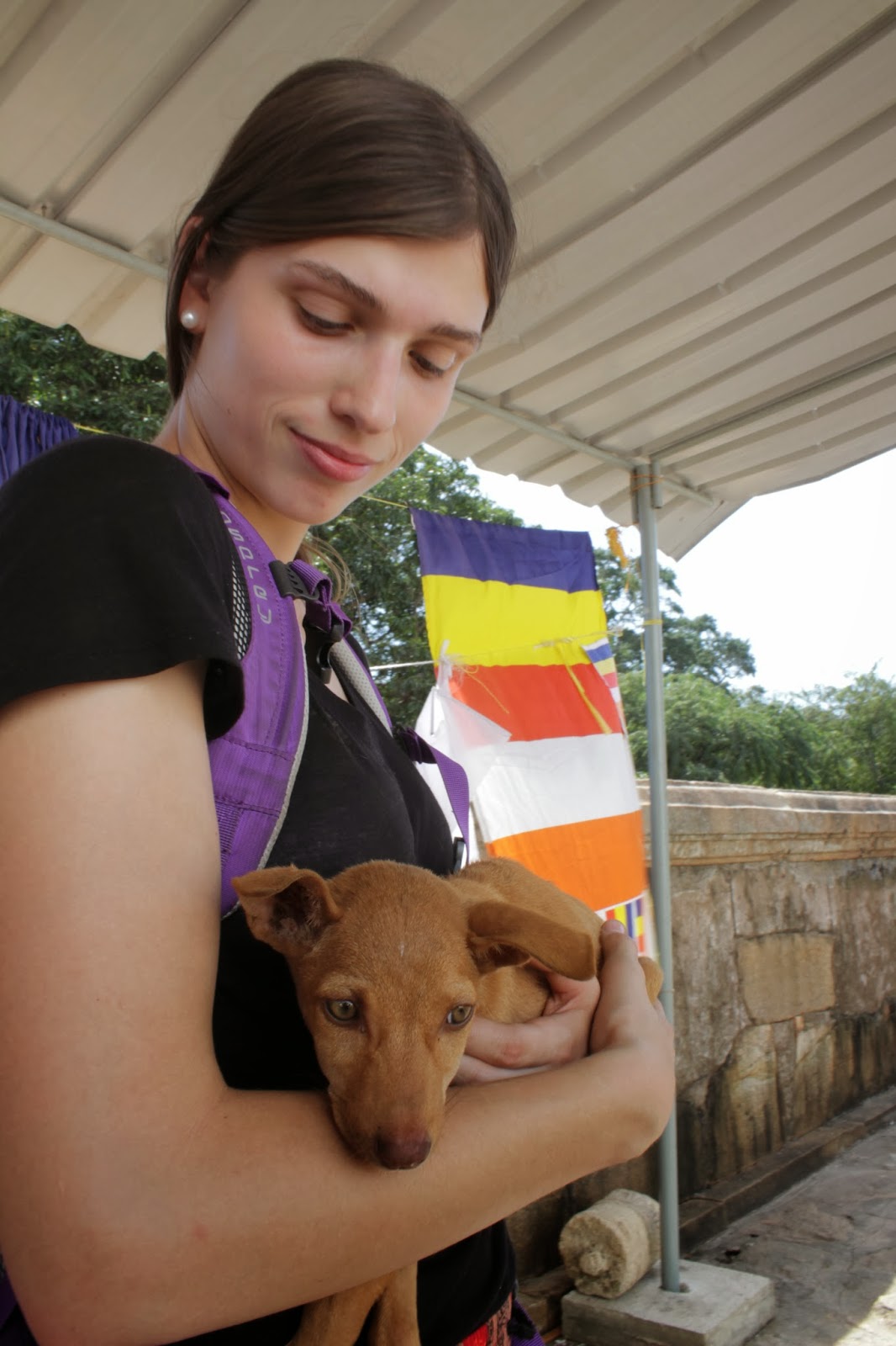rencontre amis des chiens