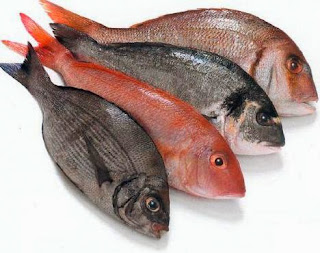 Los 5 pescados con más proteína Los 5 pescados con más proteína