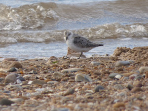 Snettisham 12/09/16