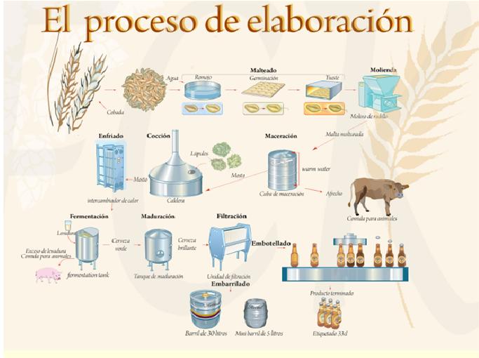 EL PROCESO DE ELAVORACION DE LA CERVEZA el proceso de elavoracion de la cerveza: