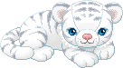 Animation Bundle: Animated Cats Jumping Playing and Running Around See