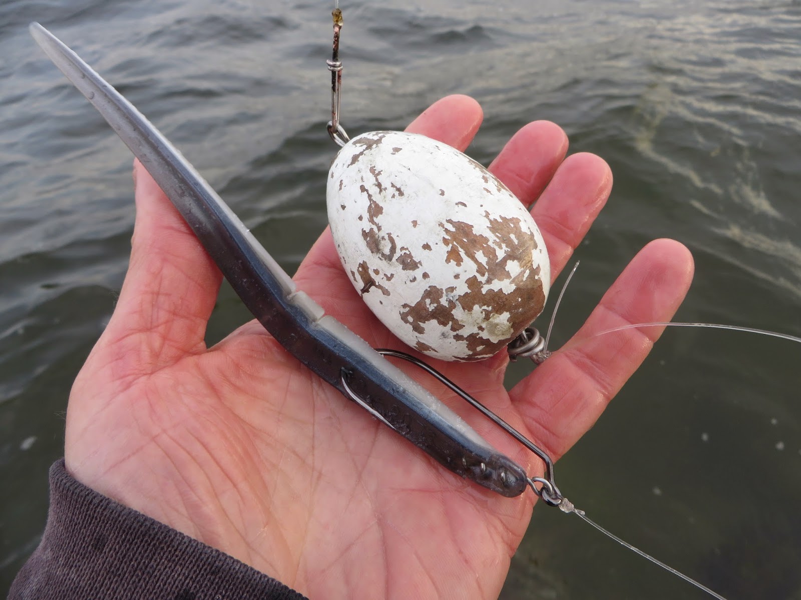 Rhode Island Striped Bass Very Effective Trick