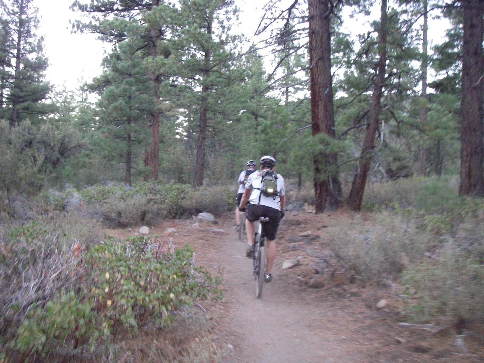 Riding in Reno Tuesday Night Mountain Bike Ride.