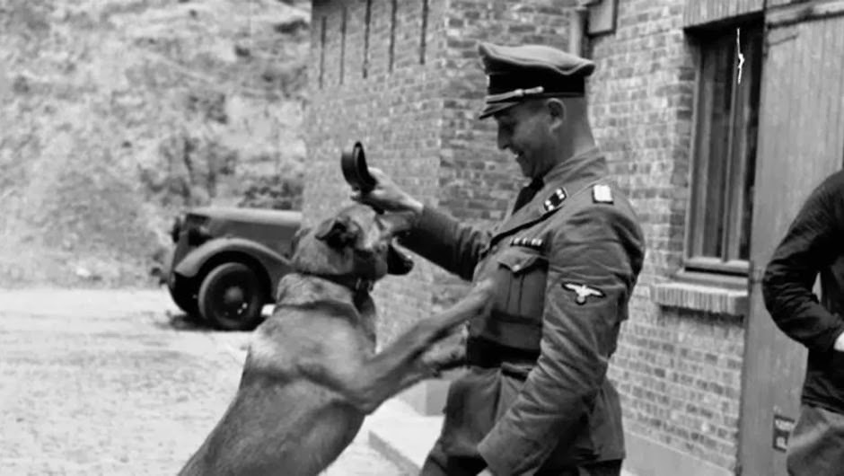 rencontre juive belgique