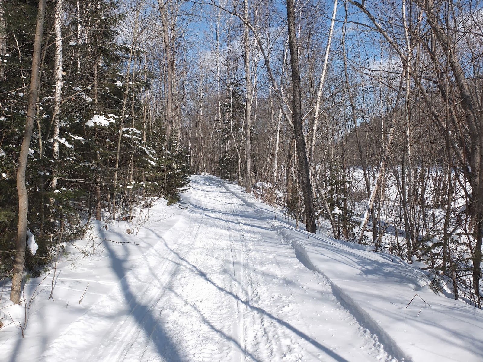 Hiking in Maine with Kelley 2/11/14 Paul Bunyan Snowmobile Trail