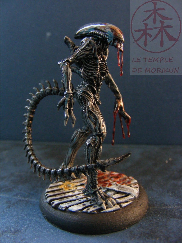 [Image: AVP%2B19%2B%252820%2529.JPG]