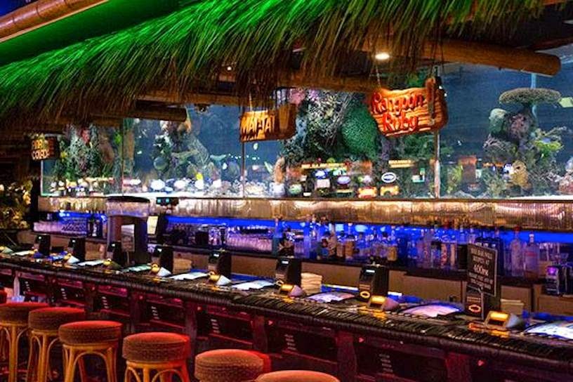 THE WONDER FAIRY A little of this A lot of that AQUARIUMS