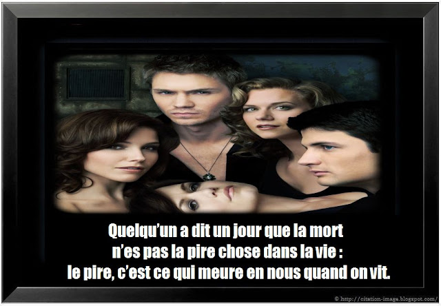 citation du film quand harry rencontre sally