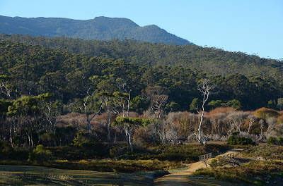 Mount Maria from the track near Counsell Creek - 29th April 2011