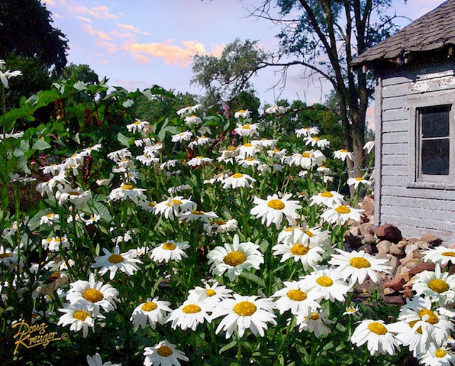 flores-en-oleo-sobre-lienzo flores
