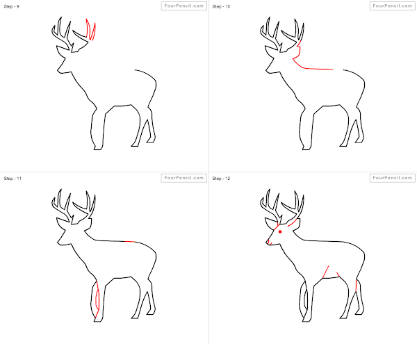 How to draw Deer - slide 2