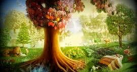 Borosil Platter With Ambrosial Display