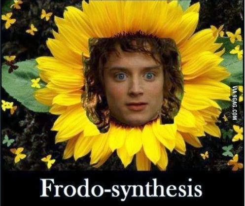 Frodosíntesis Frodosíntesis