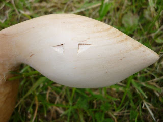 kuksa chip carving spoon carving first steps