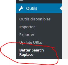Better Search And Replace : une extension WordPress pour rechercher et remplacer en masse., A Unix Mind In A Windows World