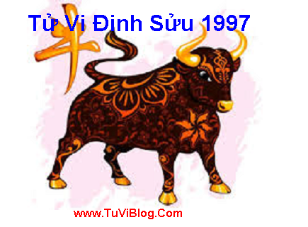 Tu Vi 2016 Dinh Suu Nam 1997