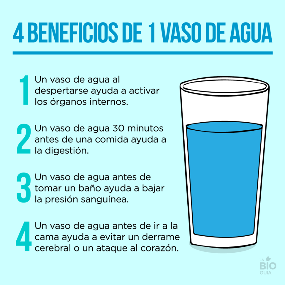 dieta para reducir cintura y abdomen rapidamente dieta para reducir cintura y abdomen rapidamente