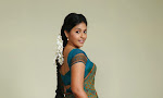 Anjali Beautiful Photos from SVSC-thumbnail