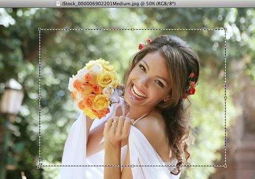 Cropping Photos Without Changing The Aspect Ratio Cropping Photos Without Changing The Aspect Ratio