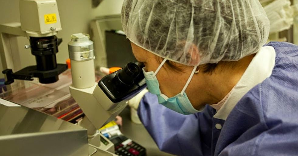 Wheelchair Kamikaze Glimmers of Hope for Progressive MS Human Stem