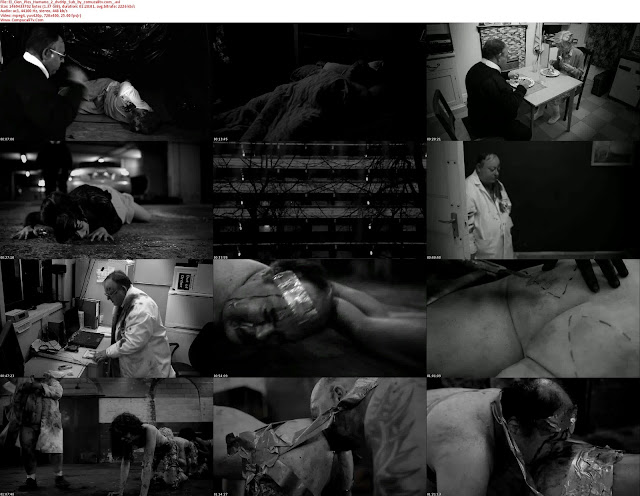 El Cien Pies Humano 2 [The Human Centipede 2] 2011 DVDRip Subtitulos Español Latino Descargar 