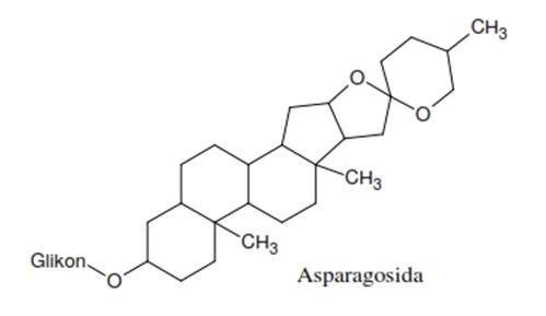 Biosintesis steroid saponin