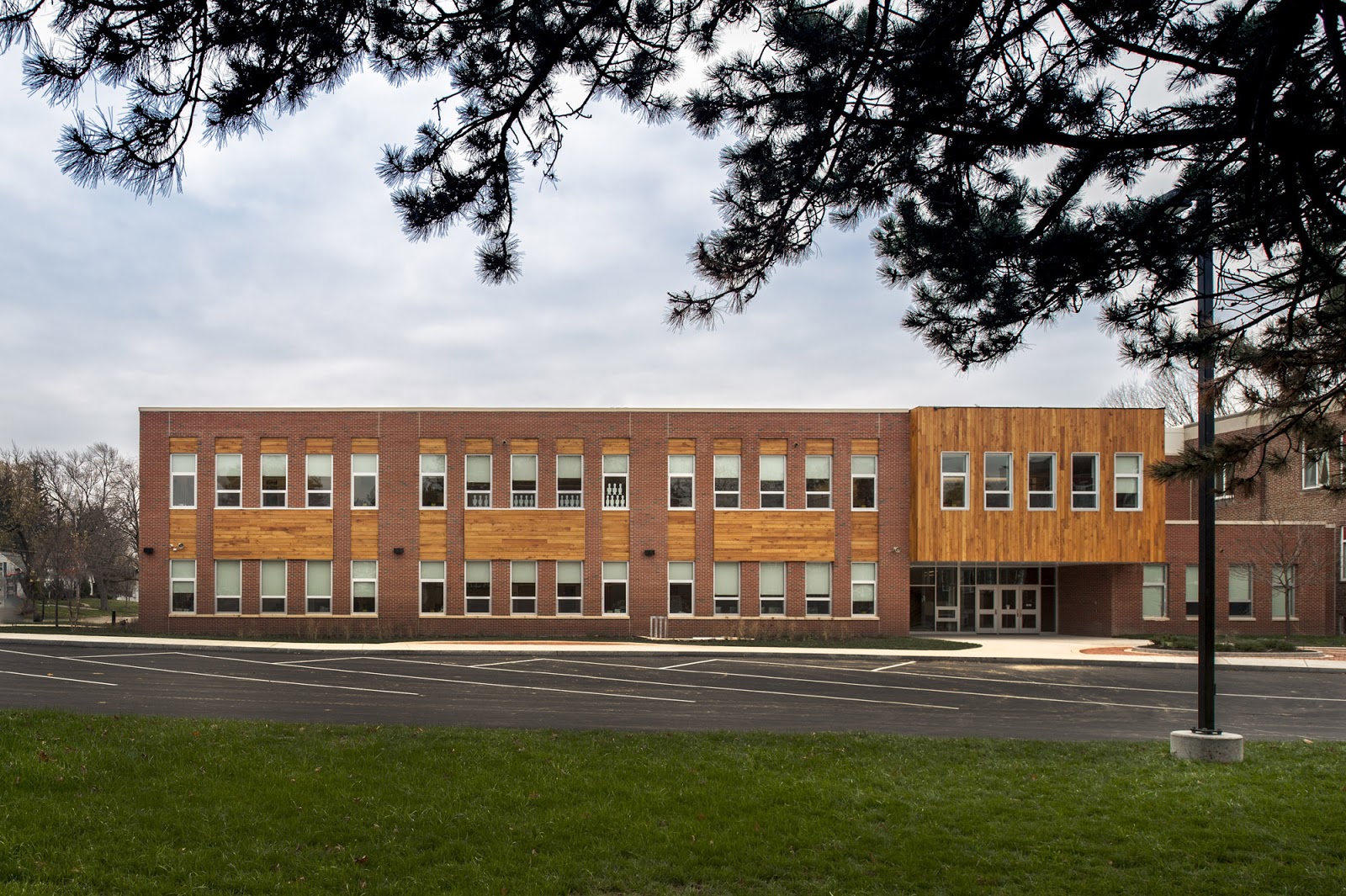 Giving New Life to Trees Black Locust Lumber Custom Siding