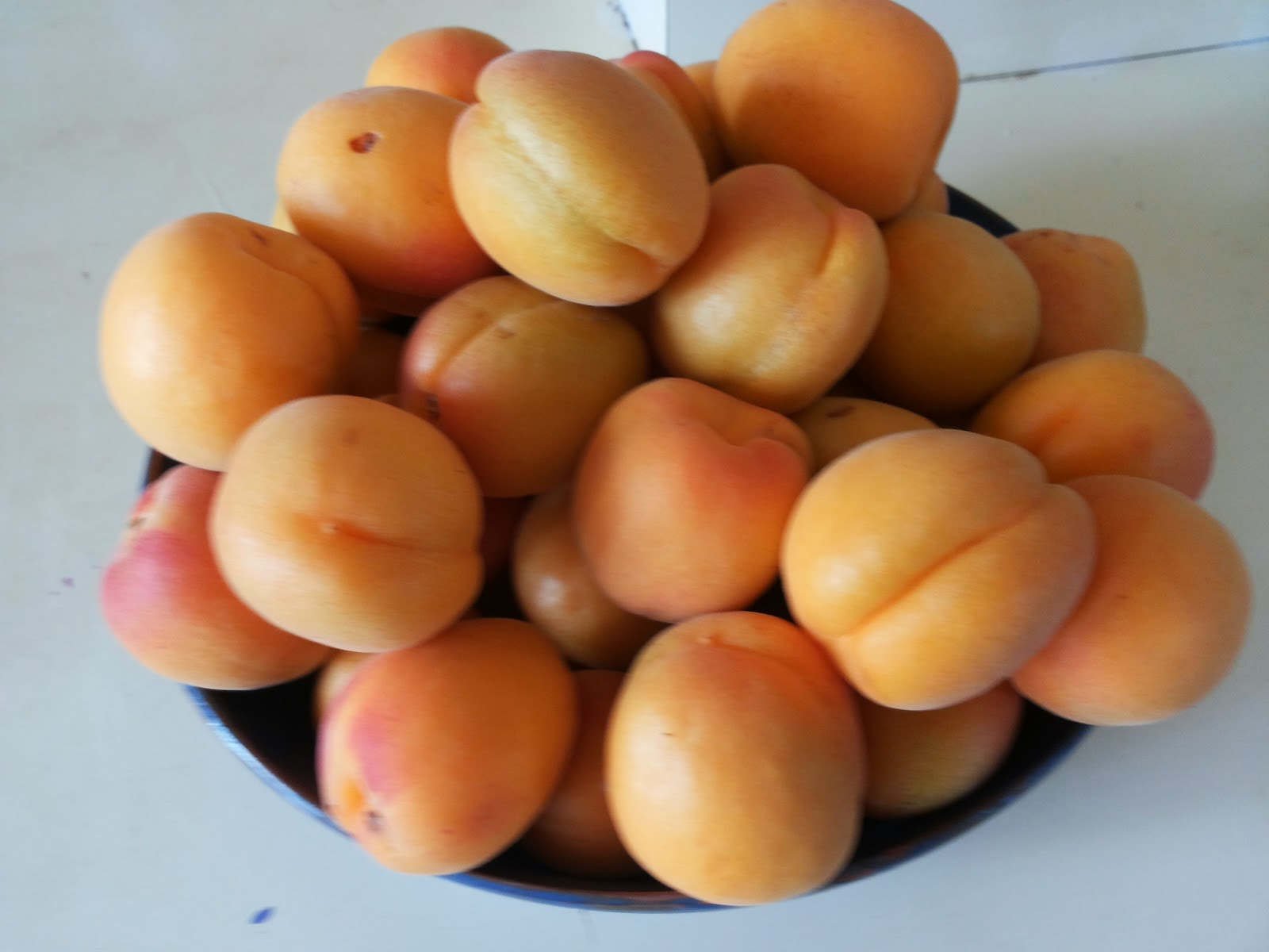 A Jewish Grandmother It's משמש Mishmish Apricot Season!