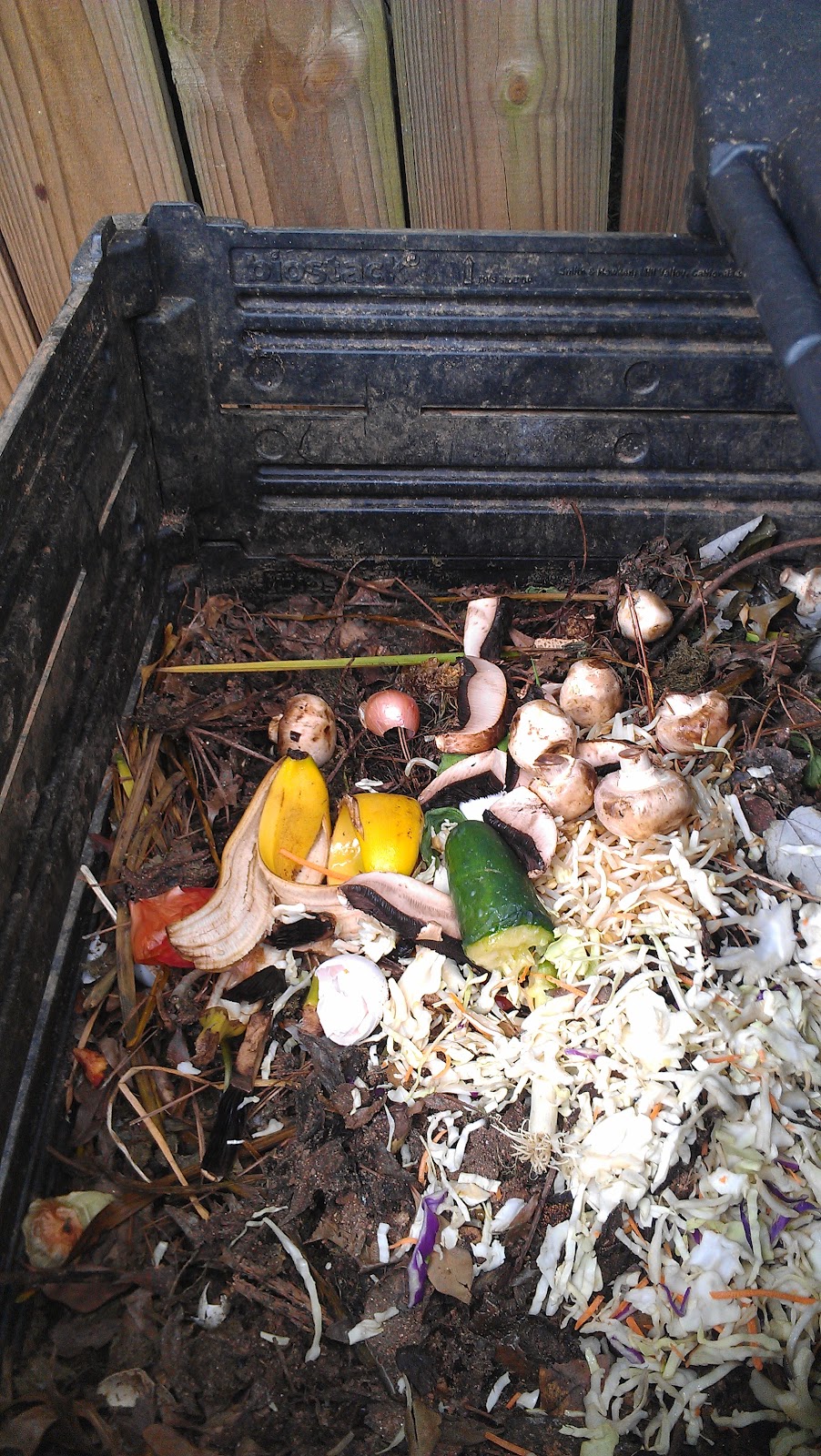 Jessica's Science Education Blog