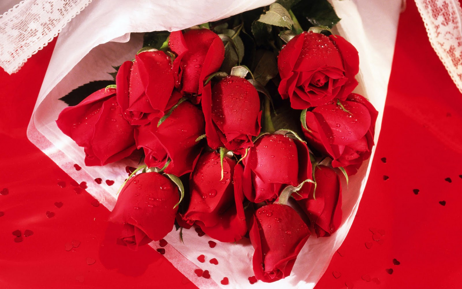 Amazing Red Roses Love Wallpapers And Backgrounds | amazing